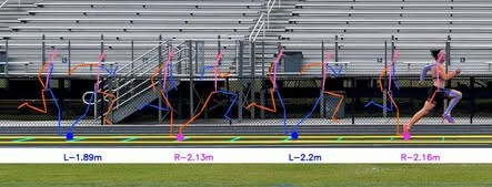 Motion analysis of a sprinter showing left and right stride lengths across a sequence of poses